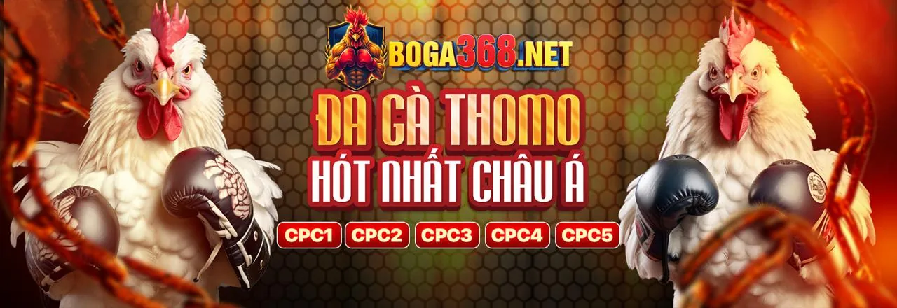 Cá cược thể thao tại VN888 Casino